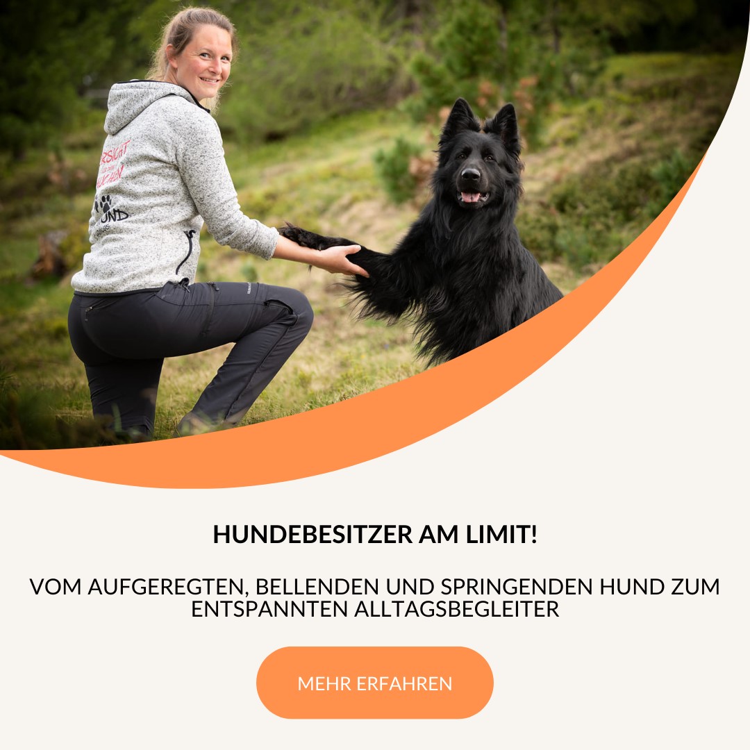 //www.dogteam-leibnitz.at/wp-content/uploads/2024/07/hundebesitzer-am-limit.jpg